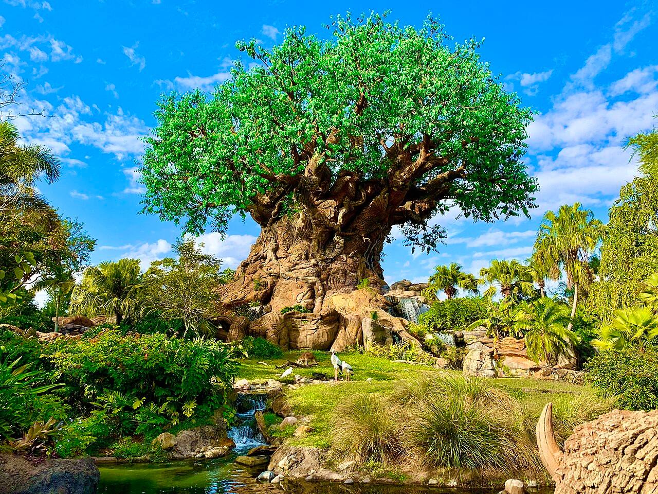 Tree of Life at Disney's Animal Kingdom, a short drive away
