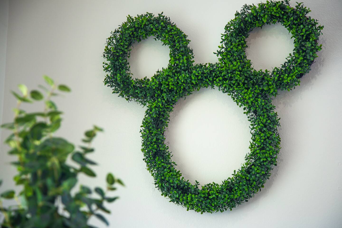 Mickey-silhouette green topiary wreath mounted on a wall beside a plant.