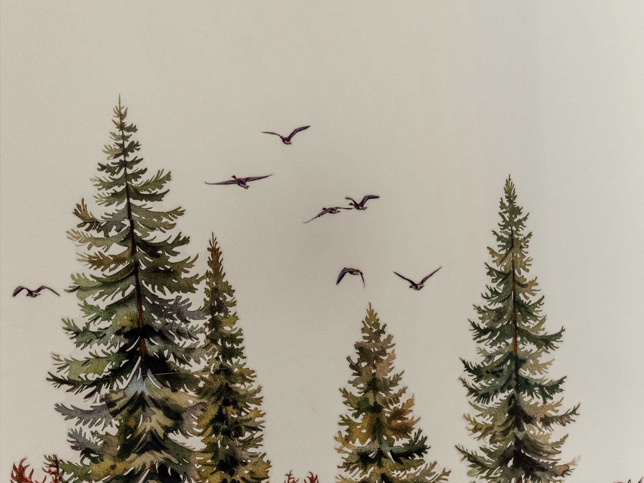 Painted pine-tree and birds watercolor wall mural