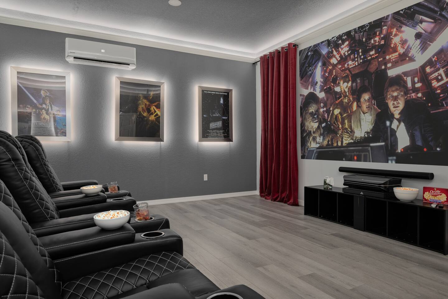 The theater's themed poster wall and rich blackout drapes.