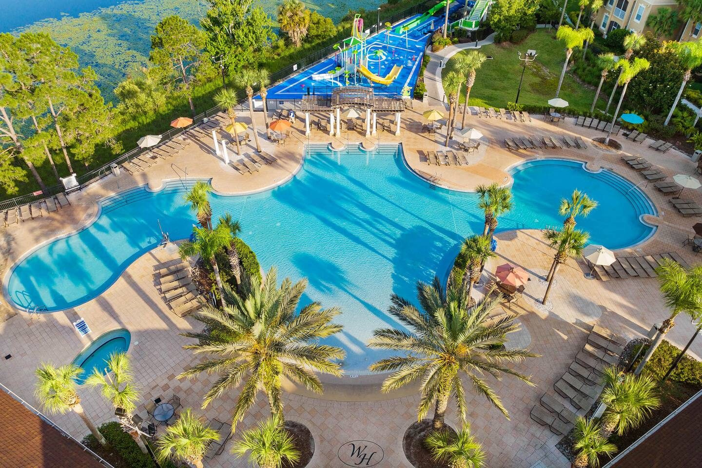 Sparkling pool, palm trees, and vibrant water slide!