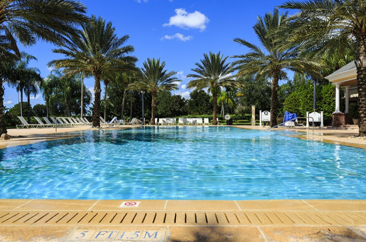 Resort-style palm-lined pool with ample loungers and sunny skies