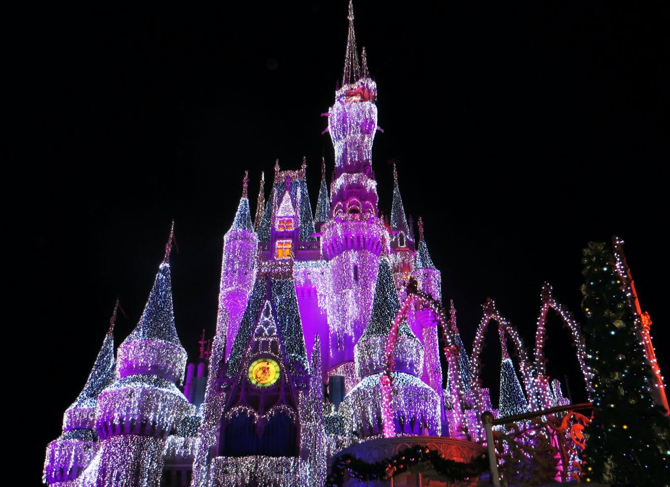 Near the Theme Parks