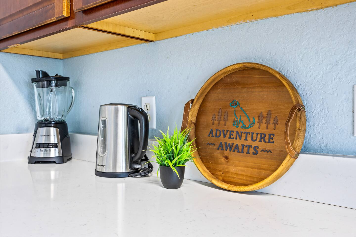 Countertop detail with a blender, electric kettle, potted greenery, and a decora